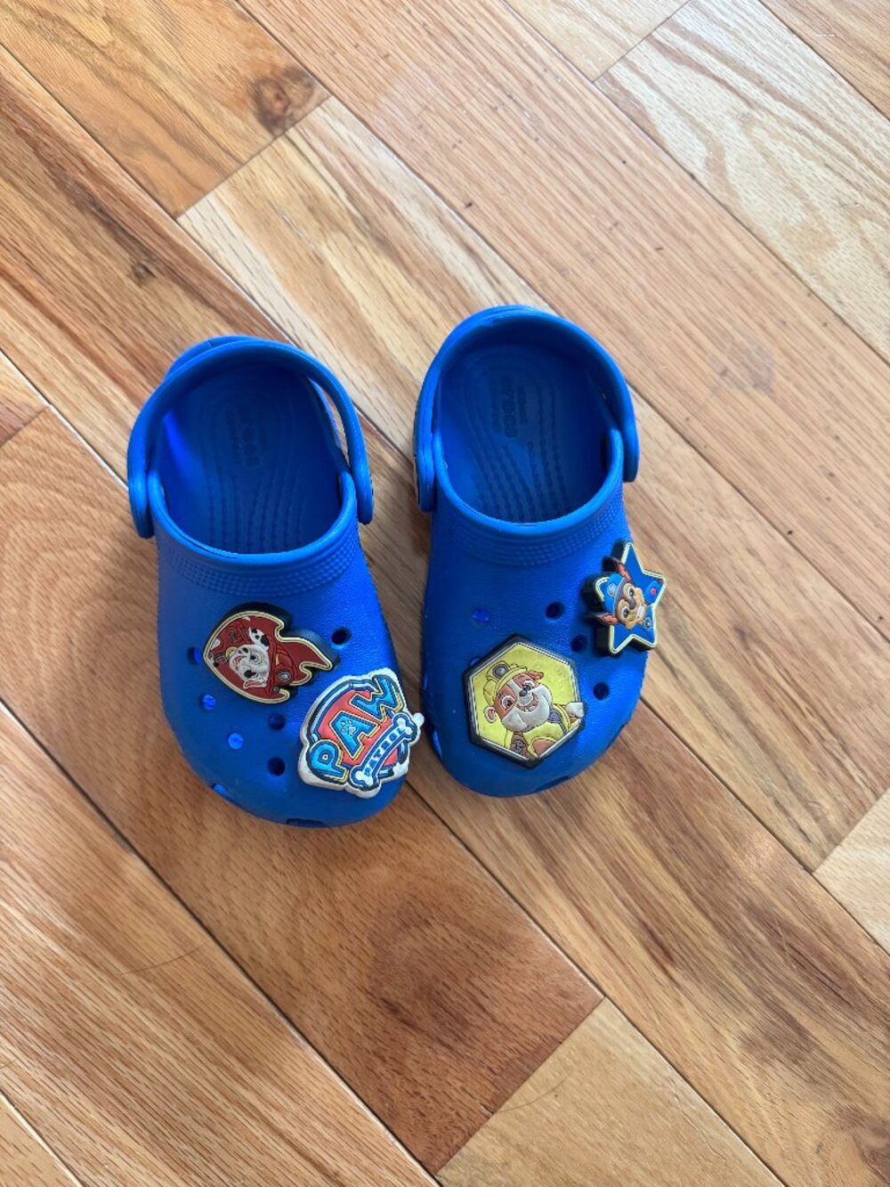 C8 Paw Patrol Blue Crocs